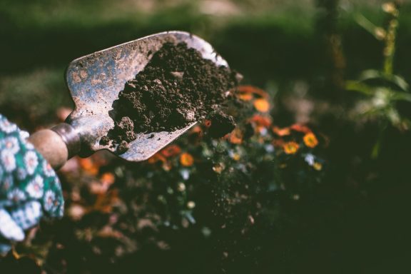 gardening trowel with soil