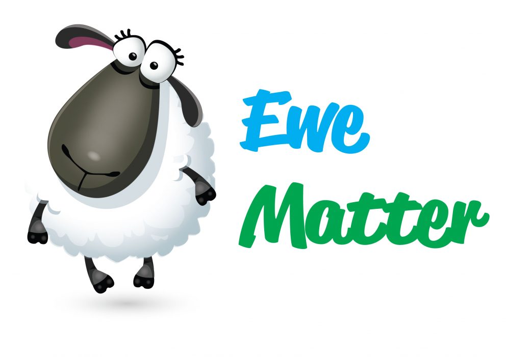 Ewe Matter Project Booklets