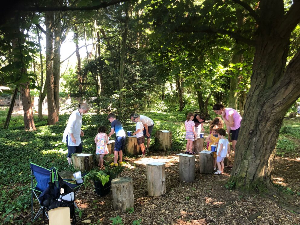 Forest Church flourishes in Kings Worthy
