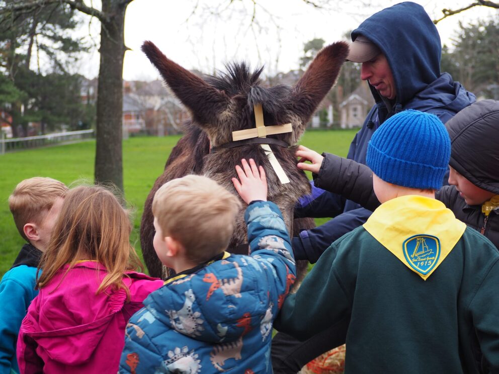 Palm Sunday Around the Diocese