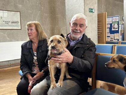 All Creatures Great and Small – Pet Services Around the Diocese