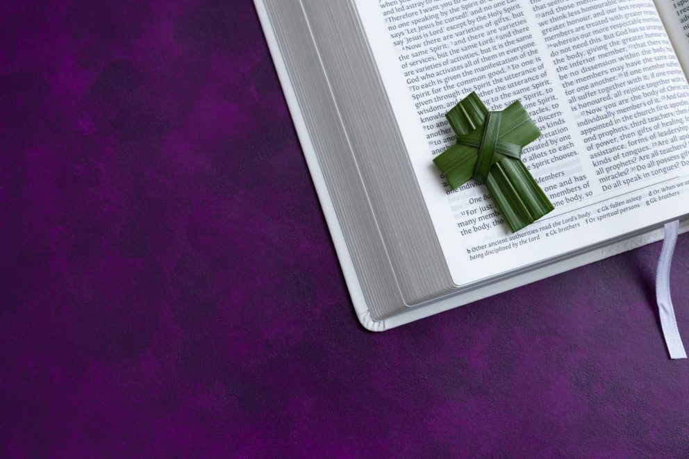 Lent Reflections 2024: Lent 4 – Habits of Looking at Jesus