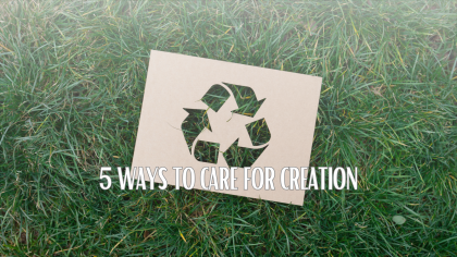 Creationtide 2024: Caring for Your Waste – Plastic, Foil & Cardboard