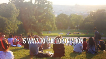 Creationtide 2024: Caring for Your Family, Friends and Community