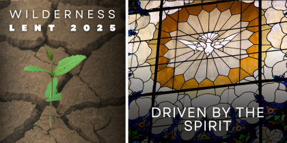 Lenten Reflection: Driven by the Spirit