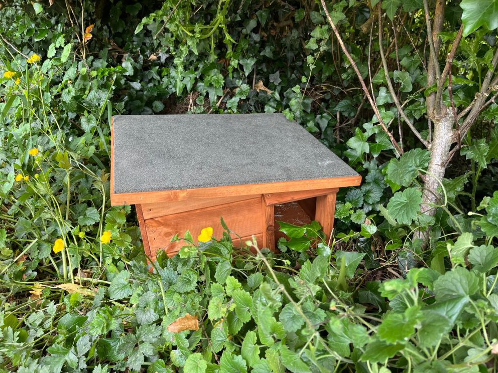 St Mary-the-Virgin and Silchester School Eco Council Work Together Helping Hedgehogs and Caring For God’s Acre