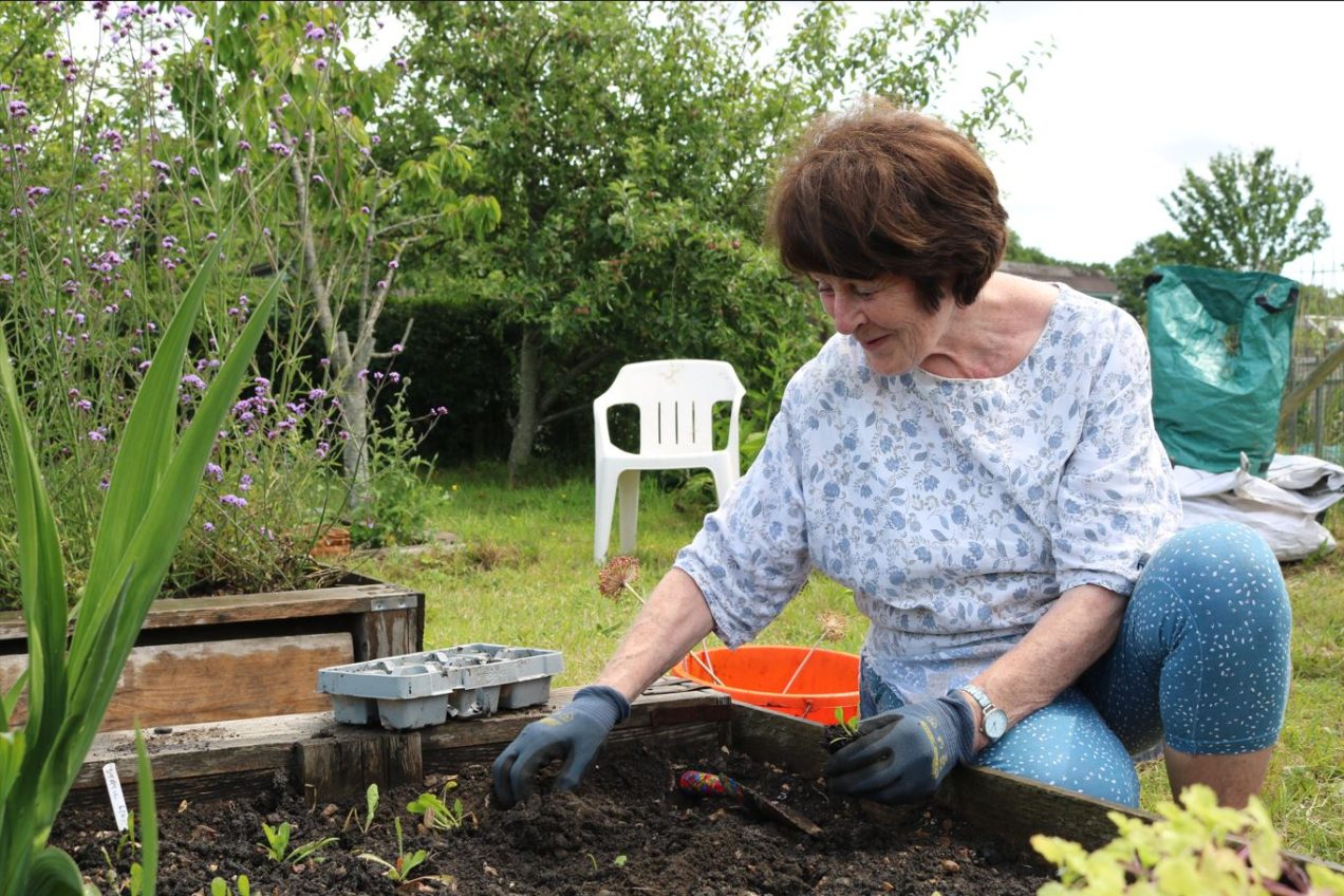 St James’ Church Allotment Brings a Chance to Connect with God and One Another in Nature