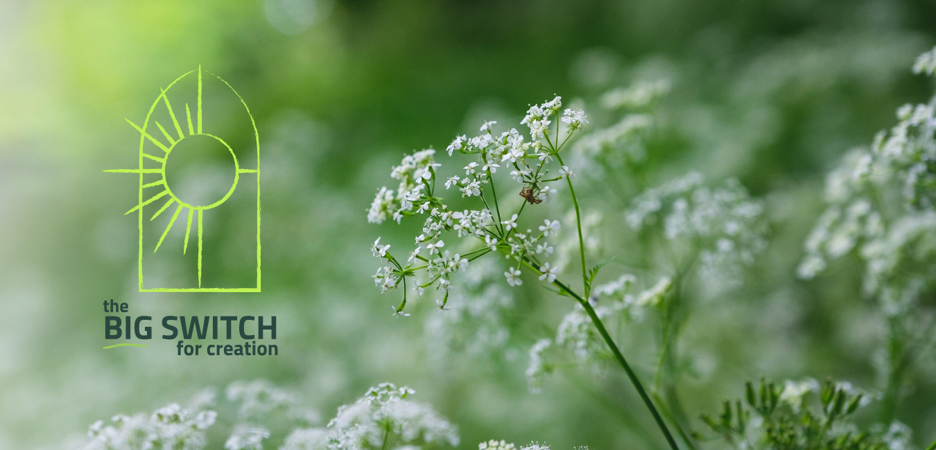 Blue Green Travel Portfolio Website (1)