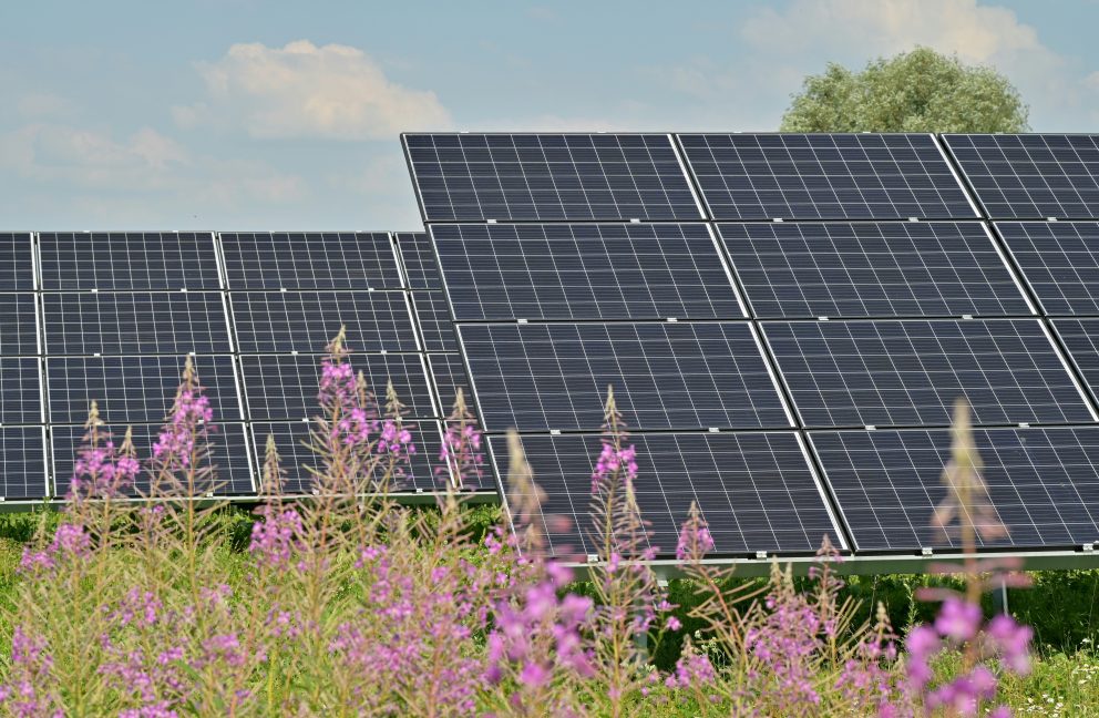 Net Carbon Zero Webinar: Generating Our Own Power