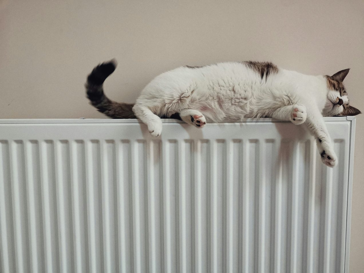 Net Carbon Zero Webinar: Heating Our Churches