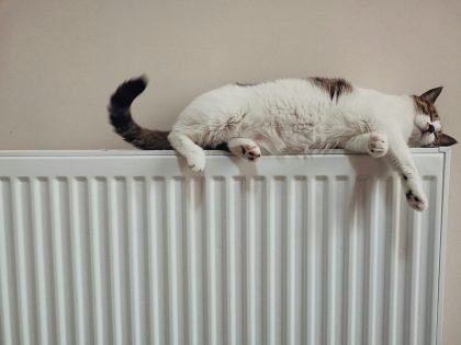 Net Carbon Zero Webinar: Heating Our Churches