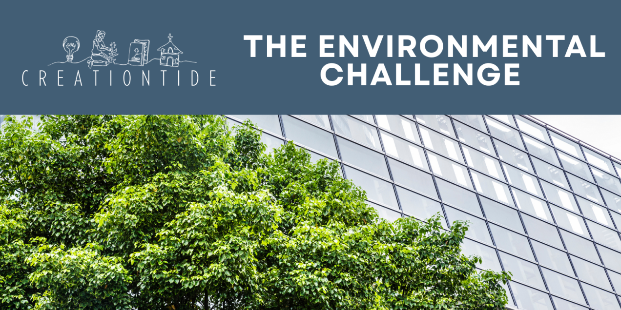 Creationtide 2025 – Week 3: The Environmental Challenge