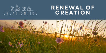 Creationtide 2025 – Week 5: Renewal of Creation