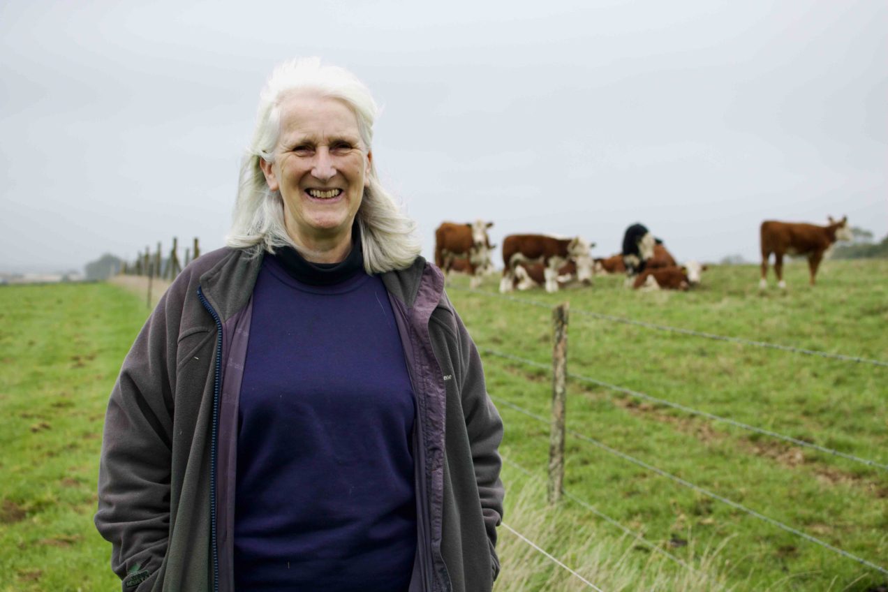 The Diocese of Winchester Prepares to Welcome First Agricultural Chaplain