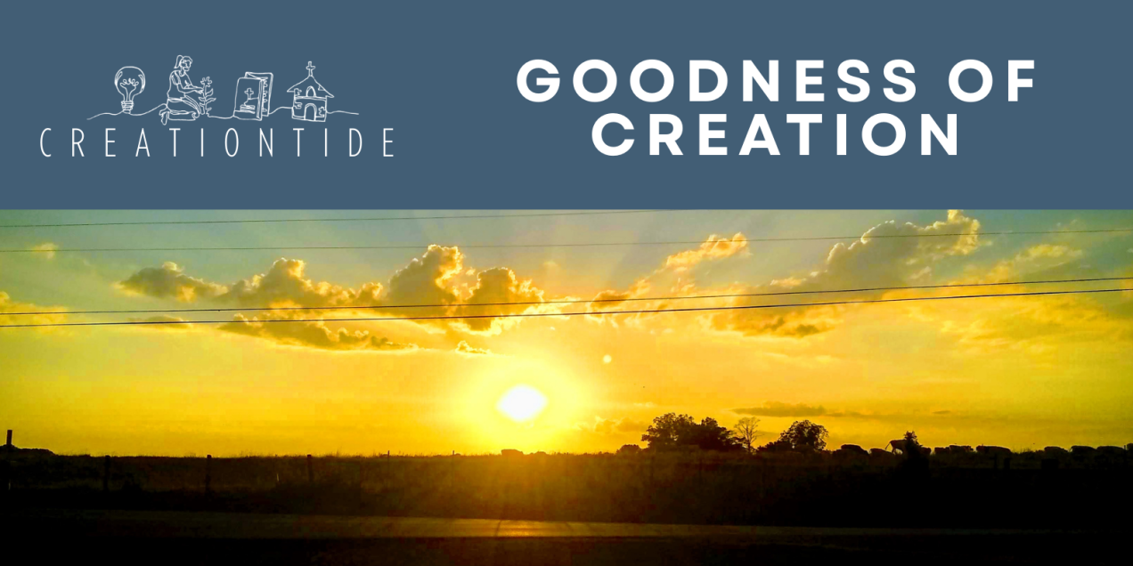 Creationtide 2025 – Week 1: Goodness of Creation