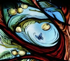Faith & Generosity Week June 2026