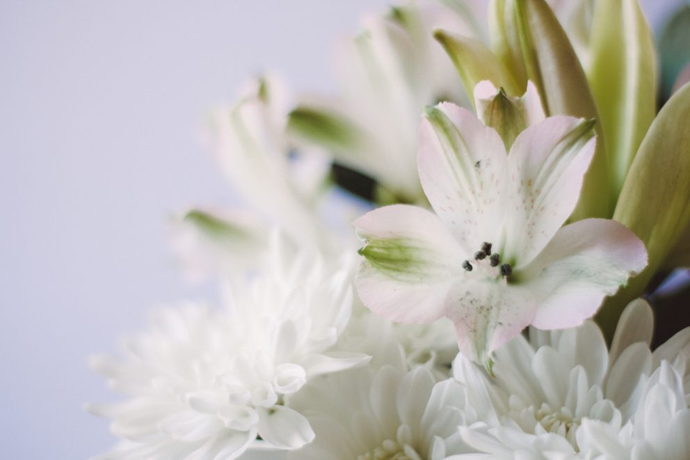 Licensed Lay Minister Funeral Training